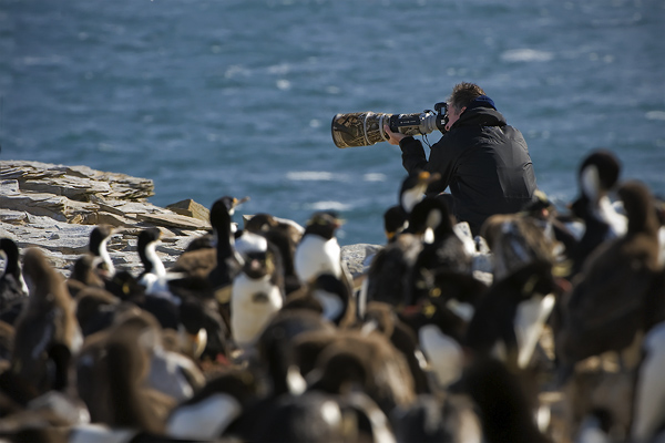 Autor příspěvku u kolonie tučňáků a kormoránů