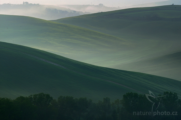 Tuscany Hills