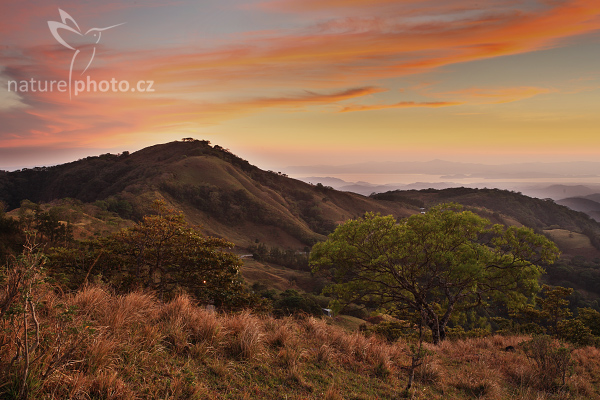 Monteverde Evening, Costa Rica