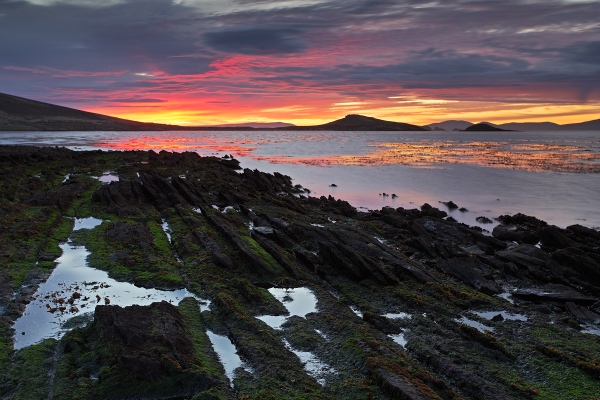 Carcass Island