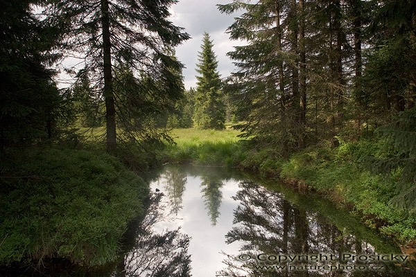 Velké jeřábí jezero