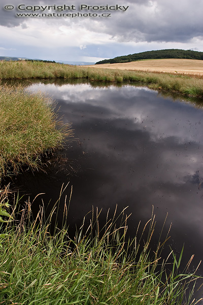 Tmavá hladina