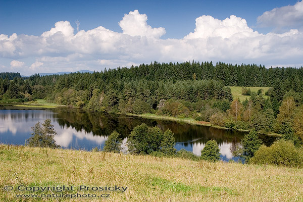 Letní šumava I.