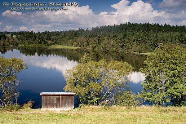 Letní šumava II.