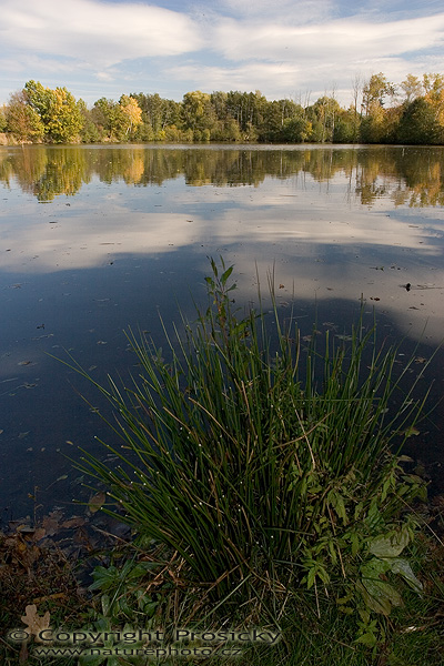 U břehu