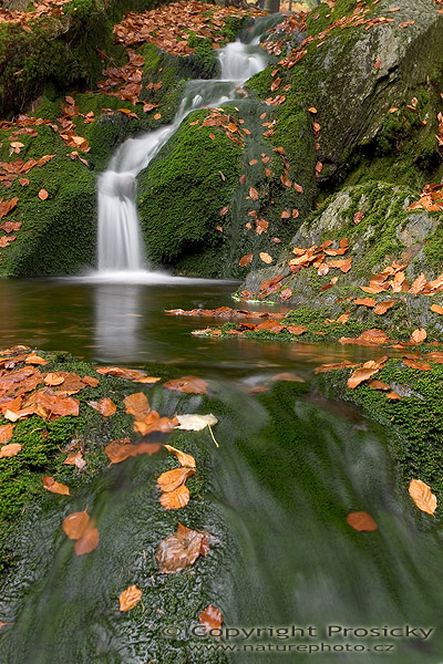 Černohorský potok II. (Krkonoše)