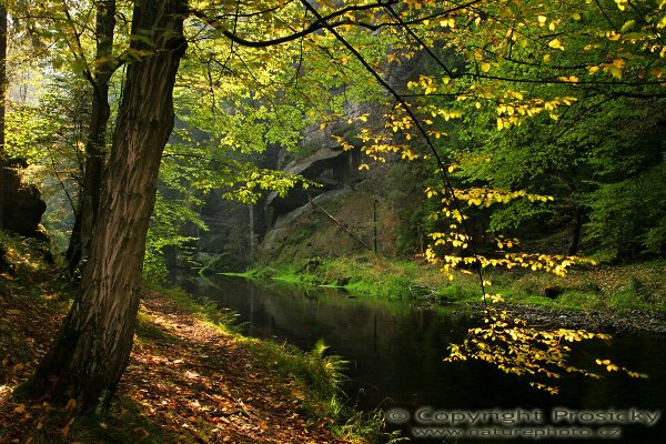 Podzim u Kamenice, Podzim u Kamenice, Autor: Ondřej Prosický, Model aparátu: Canon EOS 20D, Objektiv: Canon EF 17-40mm f/4 L USM + polarizační filtr, Použité ohnisko (EQ35mm): 27.2 mm, stativ: Gizto 1227LVL + 1377M, Clona: 13.0, Čas: 1/3 s, ISO 100: Měření expozice: celoplošné, Korekce expozice -2/3 EV, Blesk: ano (externí Sigma EF-500 DG Super, +2EV), Vytvořeno: 14. října 2006, 12:19, Kamenice, Národní park České Švýcarsko (ČR)