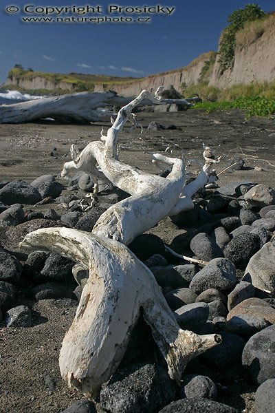 Severní pobřeží ostrova St. Kitts, Severní pobřeží ostrova St. Kitts, Autor: Ondřej Prosický, Model aparátu: Canon EOS 300D DIGITAL, Objektiv: Canon EF 20-35mm f/3,5-4,6 USM , Ohnisková vzdálenost: 28.00 mm, Clona: 9.00, Doba expozice: 1/125 s, ISO: 100, Vyvážení expozice: -0.67, Blesk: Ne, St. Kitts (Malé Antily)