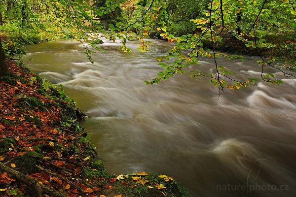 Chřibská Kamenice, Chřibská Kamenice | Autor: Ondřej Prosický | NaturePhoto.cz, Aparát: Canon EOS-1D Mark III, Objektiv: Canon EF 17-40mm f/4 L USM, Ohnisková vzdálenost (EQ35mm): 22 mm, stativ Gitzo 1227 LVL, Clona: 10, Doba expozice: 1,6 s, ISO: 200, Kompenzace expozice: -2/3 EV, Blesk: ne, Vytvořeno: 29. září 2007 10:19, Chřibská Kamenice, CHKO Labské pískovce (Česko)