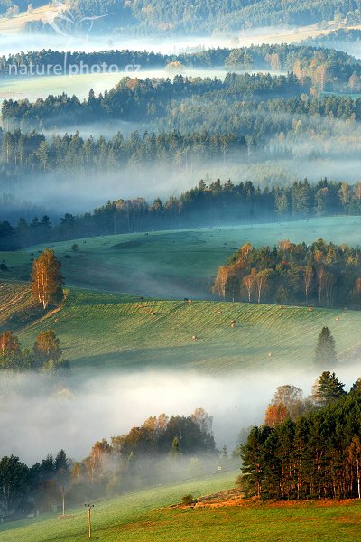 Mlha v krajině