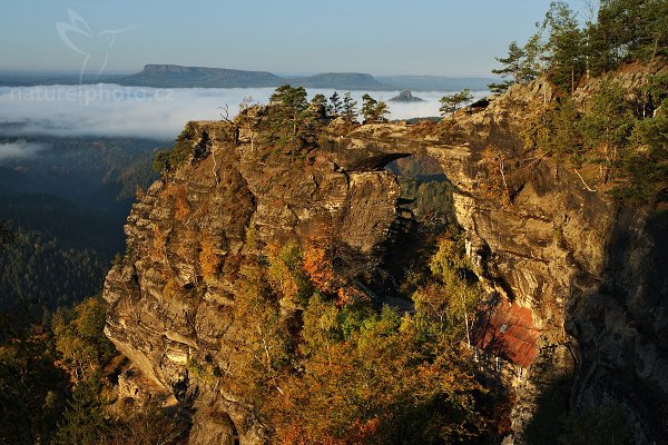 Pravčická brána, Pravčická brána, svítání, Autor: Ondřej Prosický | NaturePhoto.cz, Model: Canon EOS-1D Mark III, Objektiv: Canon EF 17-40mm f/4 L USM,Ohnisková vzdálenost (EQ35mm): 52 mm, stativ Gitzo 1227 LVL, Clona: 16, Doba expozice: 1/10 s, ISO: 100, Kompenzace expozice: -2/3, Blesk: Ne, Vytvořeno: 14. října 2007 8:08:26, NP České Švýcarsko (Česko)