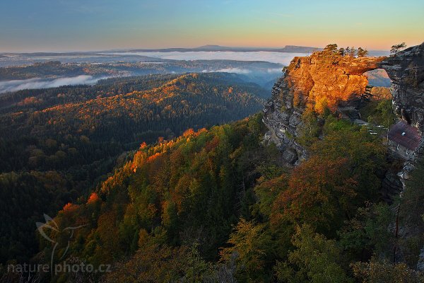 První paprsky , Pravčická brána, první paprsky, Autor: Ondřej Prosický | NaturePhoto.cz, Model: Canon EOS-1D Mark III, Objektiv: Canon EF 17-40mm f/4 L USM,Ohnisková vzdálenost (EQ35mm): 22 mm, stativ Gitzo 1227 LVL, Clona: 13, Doba expozice: 0.5 s, ISO: 100, Kompenzace expozice: -1 1/3, Blesk: Ne, Vytvořeno: 14. října 2007 7:41:22, NP České Švýcarsko (Česko)