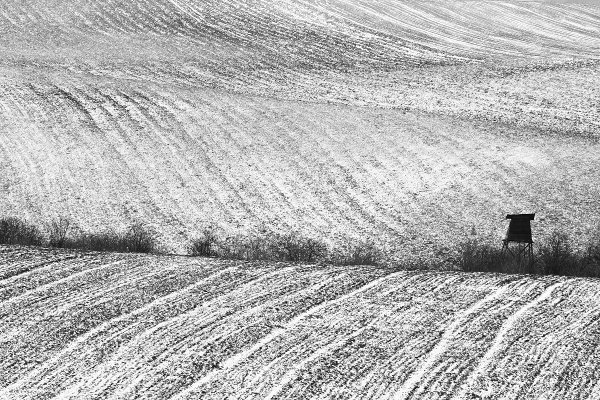 Zima na poli, Zima na poli, Autor: Ondřej Prosický | NaturePhoto.cz, Objektiv: Canon EF 200mm f/2.8 L USM, stativ Gitzo 1227 LVL, Vytvořeno: 22. března 2008 19:13:43