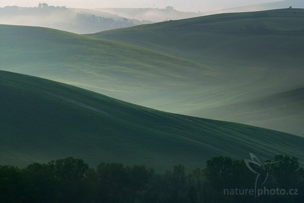 Tuscany Hills, Fotografie: Tuscany Hills, Autor: Ondřej Prosický | NaturePhoto.cz, Model: Canon EOS-1D Mark III, Objektiv: Canon EF 200mm f/2.8 L USM, Ohnisková vzdálenost (EQ35mm): 260 mm, stativ Gitzo 3540LS + RRS BH55, Clona: 8.0, Doba expozice: 1/30 s, ISO: 100, Kompenzace expozice: +1/3, Blesk: Ne, Vytvořeno: 30. dubna 2008 22:24:19, San Quírico d´Orcia, Toskánsko (Itálie) 