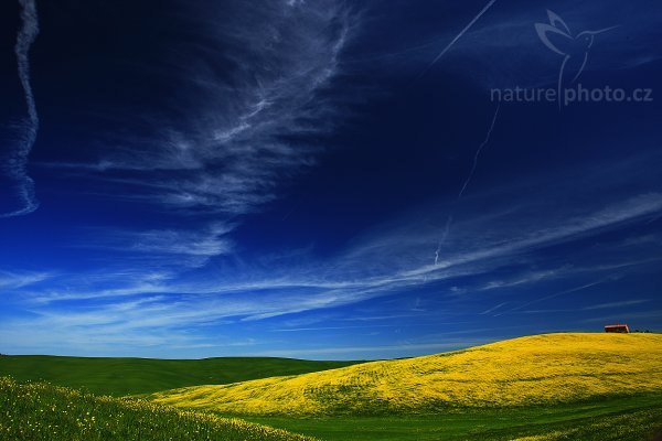 Jaro v Toskánsku, Fotografie: Jaro v Toskánsku, Autor: Ondřej Prosický | NaturePhoto.cz, Model: Canon EOS-1D Mark III, Objektiv: Canon EF 17-40mm f/4 L USM, Ohnisková vzdálenost (EQ35mm): 29 mm, stativ Gitzo 3540LS + RRS BH55, Clona: 14, Doba expozice: 1/20 s, ISO: 100, Kompenzace expozice: +1/3, Blesk: Ne, Vytvořeno: 3. května 2008 11:42:58, San Quírico d´Orcia, Toskánsko (Itálie) 