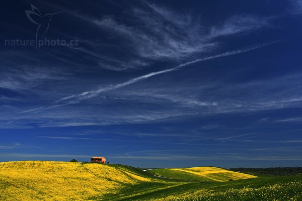 Tuscany Landscape, Fotografie: Tuscany Landscape, Autor: Ondřej Prosický | NaturePhoto.cz, Model: Canon EOS-1D Mark III, Objektiv: Canon EF 17-40mm f/4 L USM, Ohnisková vzdálenost (EQ35mm): 29 mm, stativ Gitzo 3540LS + RRS BH55, Clona: 14, Doba expozice: 1/20 s, ISO: 100, Kompenzace expozice: +1/3, Blesk: Ne, Vytvořeno: 3. května 2008 11:42:58, San Quírico d´Orcia, Toskánsko (Itálie) 