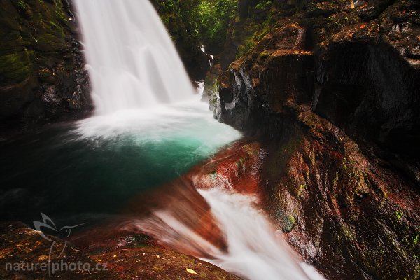 La Paz Waterfall, Costa Rica, Fotografie: La Paz Waterfall, Autor: Ondřej Prosický | NaturePhoto.cz, Model: Canon EOS 5D, Objektiv: Canon EF 17-40mm f/4 L USM, Ohnisková vzdálenost (EQ35mm): 17 mm, stativ Gitzo 3540LS + RRS BH55, Clona: 16, Doba expozice: 2.0 s, ISO: 100, Kompenzace expozice: -2/3, Blesk: Ne, Vytvořeno: 17. února 2008 13:22:57, La Paz Waterfall, La Paz (Kostarika)