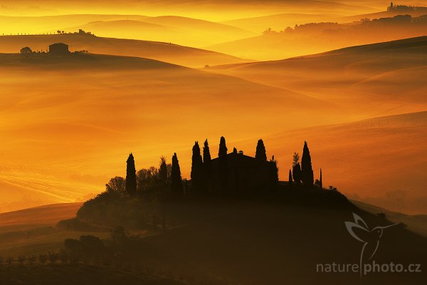 Belvedere, Tuscany, Fotografie: Belvedere, Tuscany, Autor: Ondřej Prosický | NaturePhoto.cz, Model: Canon EOS-1D Mark III, Objektiv: Canon EF 100mm f/2.8 Macro USM, Ohnisková vzdálenost (EQ35mm): 260 mm, stativ Gitzo 3540LS + RRS BH55, Clona: 14, Doba expozice: 1/125 s, ISO: 100, Kompenzace expozice: +2/3, Blesk: Ne, Vytvořeno: 3. května 2008 6:58:34, San Quírico d´Orcia, Toskánsko (Itálie) 