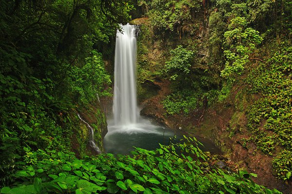 La Paz Waterfall, Kostarika, Fotografie: La Paz Waterfall, Autor: Ondřej Prosický | NaturePhoto.cz, Model: Canon EOS 5D, Objektiv: Canon EF 17-40mm f/4 L USM, Ohnisková vzdálenost (EQ35mm): 17 mm, stativ Gitzo 3540LS + RRS BH55, Clona: 14, Doba expozice: 0,6 s, ISO: 100, Kompenzace expozice: -2/3, Blesk: Ne, Vytvořeno: 17. února 2008 13:22:57, La Paz (Kostarika)