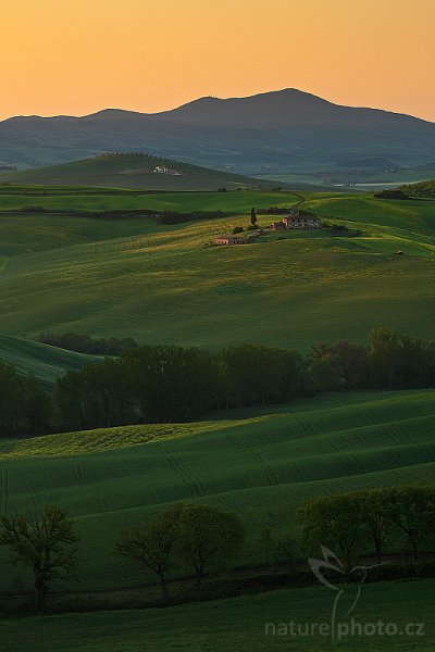 Tuscany Landscape, Fotografie: Tuscany Landscape, Autor: Ondřej Prosický | NaturePhoto.cz, Objektiv: Canon EF 100mm f/2.8 Macro USM, stativ Gitzo 3540LS + RRS BH55, Vytvořeno: 1. září 2008 21:12:11, San Quírico d´Orcia, Toskánsko (Itálie) 
