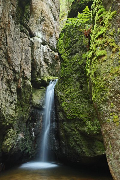 Malý Adršpašský vodopád, Adršpašské skály, Česko, Malý Adršpašský vodopád, Autor: Ondřej Prosický | NaturePhoto.cz, Model: Canon EOS-1D Mark III, Objektiv: Canon EF 500mm f/4 L IS USM, Ohnisková vzdálenost (EQ35mm): 46 mm, stativ Gitzo 3540LS + RRS BH55, Clona: 13, Doba expozice: 8.0 s, ISO: 250, Kompenzace expozice: -1 1/3, Blesk: Ne, Vytvořeno: 6. září 2008 7:51:05, PR Adršpašské skály (Česko)