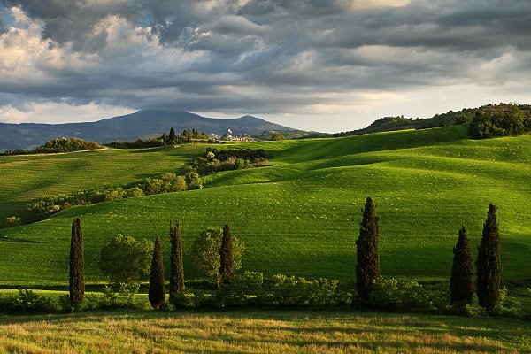 Večer v Toskánsku, Quirico, Itálie, Večer v Toskánsku, Autor: Ondřej Prosický | NaturePhoto.cz, Model: Canon EOS-1D Mark III, Objektiv: Canon EF 17-40mm f/4 L USM, Ohnisková vzdálenost (EQ35mm): 52 mm, stativ Gitzo 3540LS + RRS BH55, Clona: 14, Doba expozice: 1/8 s, ISO: 100, Kompenzace expozice: -1, Blesk: Ne, Vytvořeno: 1. května 2008 11:17:35, Toskánsko (Itálie)