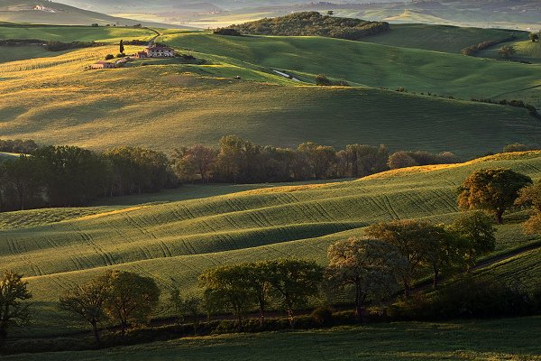 Tuscany Landscape, Italy, Tuscany Landscape, Autor: Ondřej Prosický | NaturePhoto.cz, Model: Canon EOS-1D Mark III, Objektiv: Canon EF 17-40mm f/4 L USM, Ohnisková vzdálenost (EQ35mm): 130 mm, stativ Gitzo 3540LS + RRS BH55, Clona: 10, Doba expozice: 1/4 s, ISO: 100, Kompenzace expozice: 0, Blesk: Ne, Vytvořeno: 1. května 2008 22:28:50, Toskánsko (Itálie)