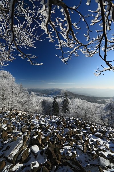 Zima na Studenci, NP České Švýcarsko, Děda mráz na Studenci | NP České Švýcarsko, Autor: Ondřej Prosický | NaturePhoto.cz, Model: Canon EOS 5D Mark II, Objektiv: Canon EF 17-40mm f/4 L USM, Ohnisková vzdálenost (EQ35mm): 17 mm, stativ Gitzo 3540LS + RRS BH55, Clona: 14, Doba expozice: 1/25 s, ISO: 100, Kompenzace expozice: -1/3 EV, Blesk: Ne, Vytvořeno: 28. prosince 2008 12:05, Studenec, NP České Švýcarsko (Česko)