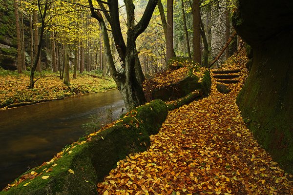 Kamenice na podzim, Podzim u kamenice, Autor: Ondřej Prosický | NaturePhoto.cz, Model: Canon EOS-1D Mark III, Objektiv: Canon EF 17-40mm f/4 L USM, Ohnisková vzdálenost (EQ35mm): 26 mm, stativ Gitzo 3540LS + RRS BH55, Clona: 16, Doba expozice: 5.0 s, ISO: 100, Kompenzace expozice: -1 2/3, Blesk: Ne, Vytvořeno: 27. října 2008 11:25:15, Kamenice, NP České Švýcarsko (Česko) 