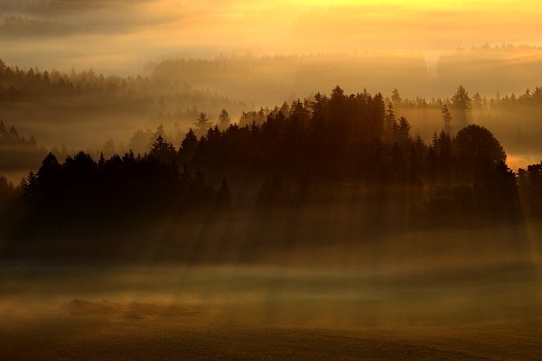 Paprsky v Českém Švýcarsku, Fotografie: Paprsky v Českém Švýcarsku, Autor: Ondřej Prosický | NaturePhoto.cz, Model: Canon EOS 5D Mark II, Objektiv: Canon EF 17-40mm f/4 L USM, stativ Gitzo, Clona: 13, Doba expozice: 1/15 s, ISO: 100, Kompenzace expozice: +1/3, Blesk: Ne, Vytvořeno: 27. září 2009 7:18:54, NP České Švýcersko