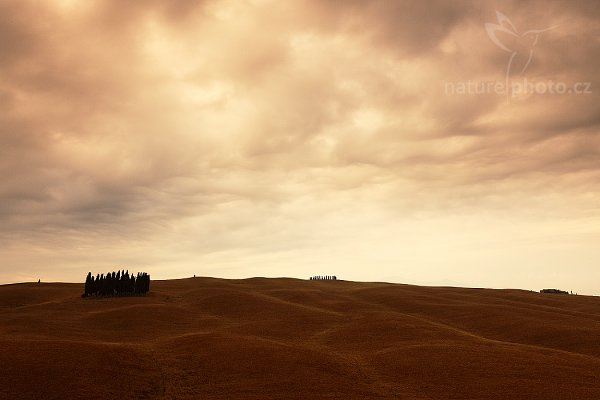 Před bouřkou, Fotografie: Před bouřkou, Autor: Ondřej Prosický | NaturePhoto.cz, Model: Canon EOS 5D Mark II, Objektiv: Canon EF 17-40mm f/4 L USM, stativ Gitzo, Clona: 14, Doba expozice: 1/5 s, ISO: 100, Kompenzace expozice: +1/3, Blesk: Ne, Vytvořeno: 5. července 2009 7:32:26, Toskánsko (Itálie)