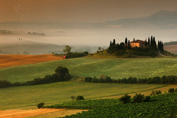 Belvedere, Tuscany, Belvedere, Tuscany, Autor: Ondřej Prosický | NaturePhoto.cz, Model: Canon EOS 5D Mark II, Objektiv: Canon EF 17-40mm f/4 L USM, stativ Gitzo, Clona: 16, Doba expozice: 1.0 s, ISO: 100, Kompenzace expozice: -1, Blesk: Ne, Vytvořeno: 4. července 2009 6:10:45, Toskánsko (Itálie)