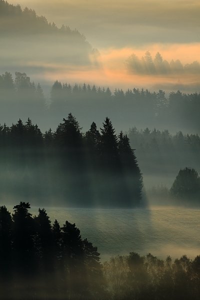 Ranní paprsky, Fotografie: Ranní paprsky, Autor: Ondřej Prosický | NaturePhoto.cz, Model: Canon EOS 5D Mark II, Objektiv: Canon EF 500mm f/4 L USM, stativ Gitzo, Clona: 13, Doba expozice: 1/30 s, ISO: 100, Kompenzace expozice: +1/3, Blesk: Ne, Vytvořeno: 27. září 2009 7:26:49, NP České Švýcarsko (Česko)