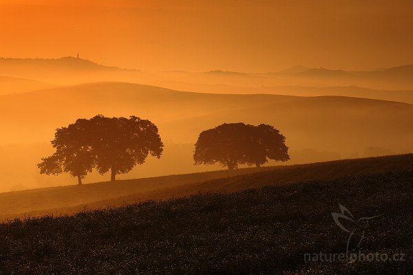 Toskánské ráno, Fotografie: Toskánské ráno, Autor: Ondřej Prosický | NaturePhoto.cz, Model: Canon EOS 5D Mark II, Objektiv: Canon EF 85mm f/1.8 USM, stativ Gitzo, Clona: 13, Doba expozice: 1/30 s, ISO: 100, Kompenzace expozice: -1, Blesk: Ne, Vytvořeno: 4. července 2009 6:33:09, San Qurico d´Orcia, Toskánsko (Itálie)