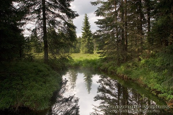 Velké jeřábí jezero, Autor: Ondřej Prosický, Model aparátu: Canon EOS 20D, Objektiv: Canon EF 17-40mm f/4 L USM, Ohnisková vzdálenost: 17.00 mm, stativ Manfrotto 190B + 141RC, Clona: 9.00, Doba expozice: 1/20 s, ISO: 400, Vyvážení expozice: -0.33, Blesk: Ne, Vytvořeno: 24. července 2005 16:04:25, Velké jeřábí jezero, Krušné hory (ČR) 