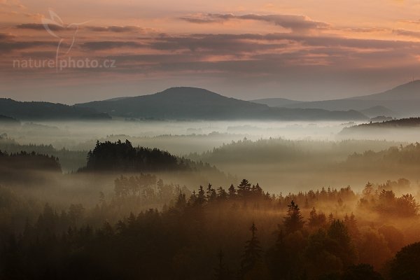 Zářiové ráno na Křížovém vrchu, 09-2009-9249, Autor: Ondřej Prosický | NaturePhoto.cz, Model: Canon EOS 5D Mark II, Objektiv: Canon EF 17-40mm f/4 L USM, Ohnisková vzdálenost (EQ35mm): 85 mm, stativ Gitzo, Clona: 14, Doba expozice: 1/30 s, ISO: 100, Kompenzace expozice: -2, Blesk: Ne, Vytvořeno: 28. září 2009 7:26:08, NP České Švýcarsko (Česko) 