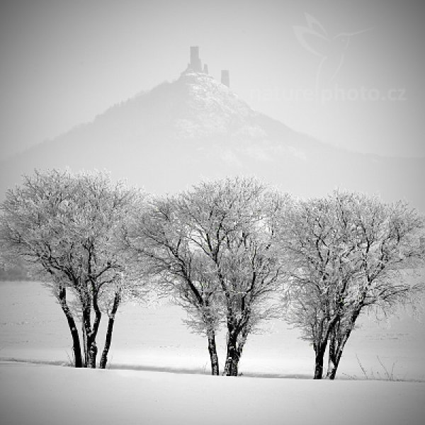 Hrad Hazmburk v mrazivé zimě, 01-2010-1448, Autor: Ondřej Prosický | NaturePhoto.cz, Model: Canon EOS 5D Mark II, Objektiv: Canon EF 17-40mm f/4 L USM, Ohnisková vzdálenost (EQ35mm): 200 mm, stativ Gitzo, Clona: 13, Doba expozice: 1/30 s, ISO: 100, Kompenzace expozice: +1 1/3, Blesk: Ne, Vytvořeno: 31. ledna 2010 11:09:26, CHKO České Středohoří (Česko) 