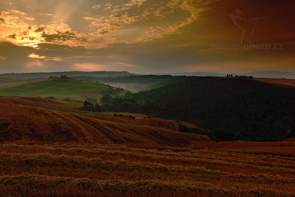 Východ slunce v Toskánsku, 07-2009-7924, Autor: Ondřej Prosický | NaturePhoto.cz, Model: Canon EOS 5D Mark II, Objektiv: Canon EF 17-40mm f/4 L USM, Ohnisková vzdálenost (EQ35mm): 29 mm, stativ Gitzo, Clona: 16, Doba expozice: 1/4 s, ISO: 100, Kompenzace expozice: -1, Blesk: Ne, Vytvořeno: 5. července 2009 6:26:22, Capella di Vitaleta, Toskánsko (Itálie) 