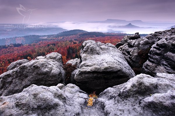 Podmračené podzimní ráno ve skalách, 10-2009-9658, Autor: Ondřej Prosický | NaturePhoto.cz, Model: Canon EOS 5D Mark II, Objektiv: Canon EF 17-40mm f/4 L USM, Ohnisková vzdálenost (EQ35mm): 20 mm, stativ Gitzo, Clona: 11, Doba expozice: 20.0 s, ISO: 100, Kompenzace expozice: -2/3, Blesk: Ne, Vytvořeno: 31. října 2009 7:38:25, NP České Švýcarsko (Česko)