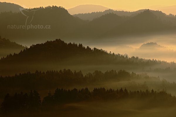 Ranní mlhy v Českém Švýcarsku, 09-2009-9202, Autor: Ondřej Prosický | NaturePhoto.cz, Model: Canon EOS 5D Mark II, Objektiv: Canon EF 17-40mm f/4 L USM, Ohnisková vzdálenost (EQ35mm): 200 mm, stativ Gitzo, Clona: 11, Doba expozice: 1/100 s, ISO: 100, Kompenzace expozice: -2/3, Blesk: Ne, Vytvořeno: 27. září 2009 8:02:05, NP České Švýcarsko (Česko)