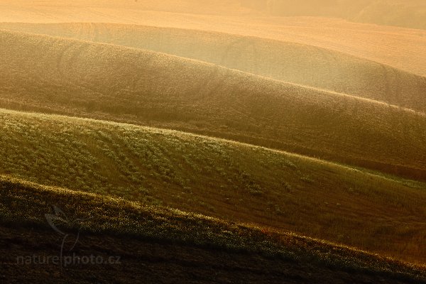 Toskánské linie, 07-2009-7755, Autor: Ondřej Prosický | NaturePhoto.cz, Model: Canon EOS 5D Mark II, Objektiv: Canon EF 17-40mm f/4 L USM, Ohnisková vzdálenost (EQ35mm): 200 mm, stativ Gitzo, Clona: 13, Doba expozice: 1/13 s, ISO: 100, Kompenzace expozice: -1 1/3, Blesk: Ne, Vytvořeno: 4. července 2009 6:46:02, Toskánsko (Itálie)