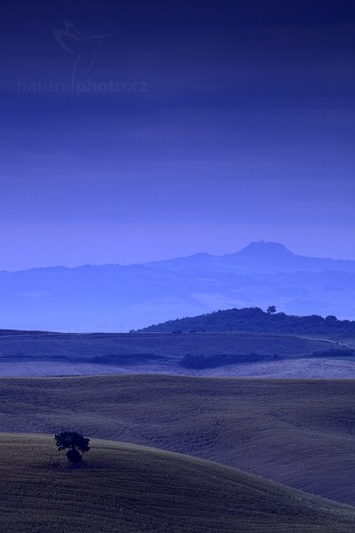 Toskánská krajina před svítáním, 07-2009-7898, Autor: Ondřej Prosický | NaturePhoto.cz, Model: Canon EOS 5D Mark II, Objektiv: Canon EF 17-40mm f/4 L USM, Ohnisková vzdálenost (EQ35mm): 200 mm, stativ Gitzo, Clona: 10, Doba expozice: 8.0 s, ISO: 100, Kompenzace expozice: 0, Blesk: Ne, Vytvořeno: 5. července 2009 5:29:25, Toskánsko (Itálie)