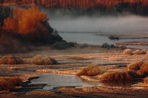 Meandry Vltavy u Lipna, 04-2009-8792, Autor: Ondřej Prosický | NaturePhoto.cz, Model: Canon EOS 5D Mark II, Objektiv: Canon EF 17-40mm f/4 L USM, Ohnisková vzdálenost (EQ35mm): 500 mm, stativ Gitzo, Clona: 13, Doba expozice: 1/50 s, ISO: 100, Kompenzace expozice: -1, Blesk: Ne, Vytvořeno: 18. dubna 2010 5:41:58, Zátoň, Šumava (Česko)