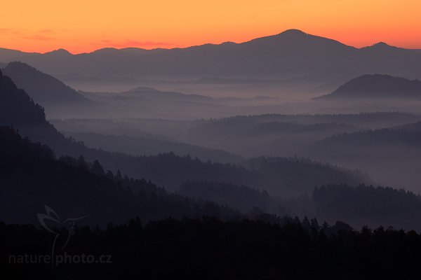 Svítání v Českém Švýcarsku, Kopce v ranní mlze, Autor: Ondřej Prosický | NaturePhoto.cz, Model: Canon EOS 5D Mark II, Objektiv: Canon EF 100mm f/2.8 Macro USM, Ohnisková vzdálenost (EQ35mm): 100 mm, stativ Gitzo, Clona: 11, Doba expozice: 3.2 s, ISO: 100, Kompenzace expozice: 0, Blesk: Ne, Vytvořeno: 10. října 2010 6:56:50, NP České Švýcarsko (Česko) 