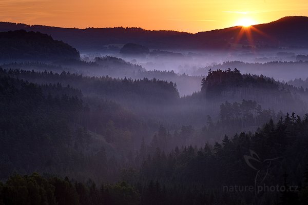 První sluneční paprsky na Křížovém vrchu, Křížový vrch, Autor: Ondřej Prosický | NaturePhoto.cz, Model: Canon EOS 5D Mark II, Objektiv: Canon EF 100mm f/2.8 Macro USM, Ohnisková vzdálenost (EQ35mm): 100 mm, stativ Gitzo, Clona: 14, Doba expozice: 1/40 s, ISO: 100, Kompenzace expozice: 0, Blesk: Ne, Vytvořeno: 21. srpna 2010 6:08:52, NP České Švýcarsko (Česko) 