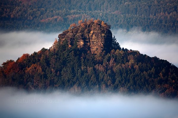 Zirkelstein, Autor: Ondřej Prosický | NaturePhoto.cz, Model: Canon EOS 5D Mark II, Objektiv: Canon EF 500mm f/4 L IS USM, Ohnisková vzdálenost (EQ35mm): 500 mm, stativ Gitzo, Clona: 5.0, Doba expozice: 1/160 s, ISO: 100, Kompenzace expozice: -1, Blesk: Ne, Vytvořeno: 10. října 2010 7:52:54, NP České Švýcarsko (Česko)