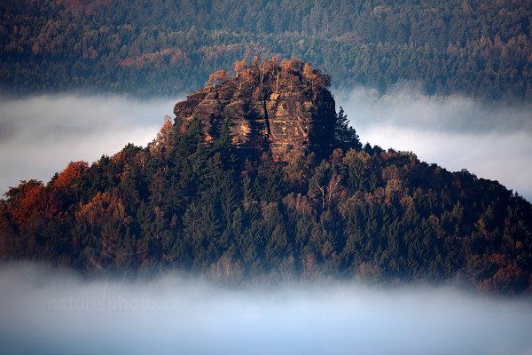 Zirkelstein, Autor: Ondřej Prosický | NaturePhoto.cz, Model: Canon EOS 5D Mark II, Objektiv: Canon EF 500mm f/4 L IS USM, Ohnisková vzdálenost (EQ35mm): 500 mm, stativ Gitzo, Clona: 5.0, Doba expozice: 1/160 s, ISO: 100, Kompenzace expozice: -1, Blesk: Ne, Vytvořeno: 10. října 2010 7:52:54, NP České Švýcarsko (Česko)