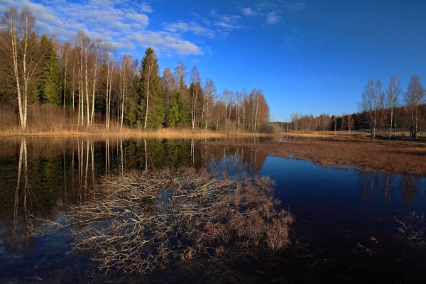 Krajina v Bergslagen, Autor: Ondřej Prosický | NaturePhoto.cz, Model: Canon EOS 5D Mark II, Objektiv: Canon EF 17-40mm f/4 L USM, Ohnisková vzdálenost (EQ35mm): 19 mm, stativ Gitzo, Clona: 8.0, Doba expozice: 1/50 s, ISO: 100, Kompenzace expozice: -2/3, Blesk: Ne, Vytvořeno: 18. dubna 2011 6:21:08, Bergslagen (Švédsko) 