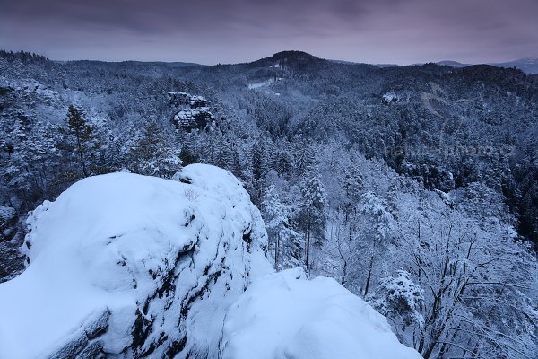 Krajina pod sněhem, Autor: Ondřej Prosický | NaturePhoto.cz, Model: Canon EOS 5D Mark II, Objektiv: Canon EF 17-40mm f/4 L USM, Ohnisková vzdálenost (EQ35mm): 20 mm, stativ Gitzo, Clona: 10, Doba expozice: 30.0 s, ISO: 100, Kompenzace expozice: 0, Blesk: Ne, Vytvořeno: 21. ledna 2012 7:30:57, NP České Švýcarsko (Česko) 