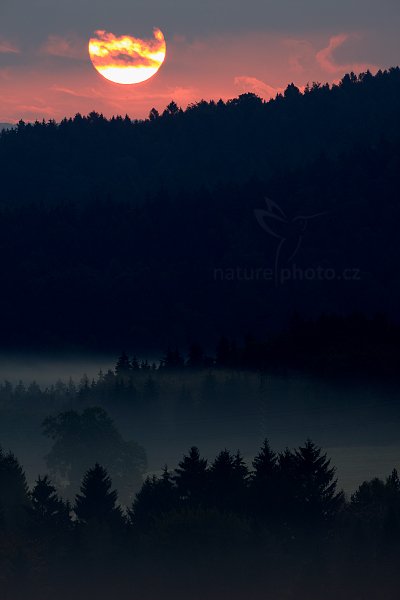 Měsíc nad krajinou, Autor: Ondřej Prosický | NaturePhoto.cz, Model: Canon EOS 5D Mark II, Objektiv: Canon EF 17-40mm f/4 L USM, Ohnisková vzdálenost (EQ35mm): 500 mm, stativ Gitzo, Clona: 13, Doba expozice: 1/4 s, ISO: 100, Kompenzace expozice: 0, Blesk: Ne, Vytvořeno: 28. září 2009 7:13:56, NP České Švýcarsko (Česko) 